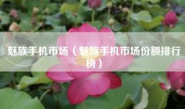 魅族手机市场（魅族手机市场份额排行榜）