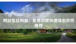 网站优化利器：免费百度快速排名软件推荐