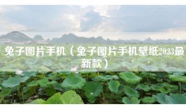 兔子图片手机（兔子图片手机壁纸2023最新款）