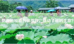 熬夜追短剧的银发族，撬动了谁的生意？