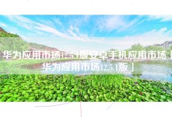 华为应用市场12.5.1版安卓手机应用市场「华为应用市场12.5.1版」