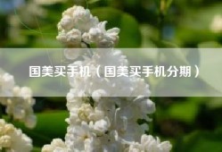 国美买手机（国美买手机分期）
