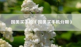 国美买手机（国美买手机分期）