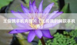 王俊凯手机壳图片（王俊凯的同款手机壳）