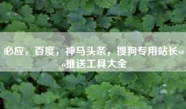 必应，百度，神马头条，搜狗专用站长seo推送工具大全