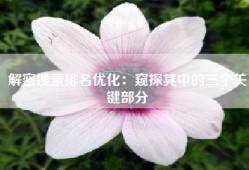 解密搜索排名优化：窥探其中的三个关键部分