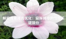 解密搜索排名优化：窥探其中的三个关键部分
