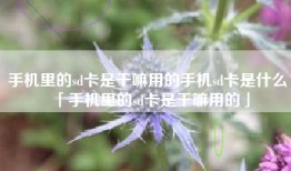 手机里的sd卡是干嘛用的手机sd卡是什么「手机里的sd卡是干嘛用的」