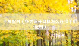 手机配对（华为蓝牙耳机怎么连接手机配对）