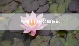 马桶上门安装风波记