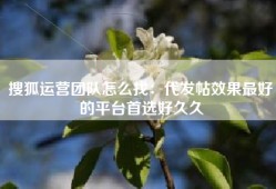 搜狐运营团队怎么找：代发帖效果最好的平台首选好久久
