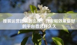 搜狐运营团队怎么找：代发帖效果最好的平台首选好久久