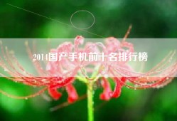2014国产手机前十名排行榜