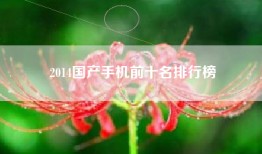 2014国产手机前十名排行榜