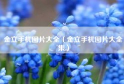 金立手机图片大全（金立手机图片大全集）