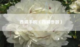 西威手机（西威参数）