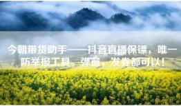 今朝带货助手——抖音直播保镖，唯一防举报工具。弹窗，发券都可以！