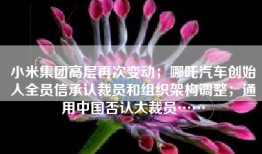 小米集团高层再次变动；哪吒汽车创始人全员信承认裁员和组织架构调整；通用中国否认大裁员……