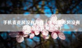 手机麦克风没有声音（手机麦克风没有声音怎么恢复正常）