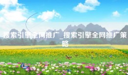 搜索引擎全网推广_搜索引擎全网推广策略