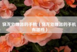 骁龙处理器的手机（骁龙处理器的手机有哪些）