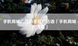 手机商城广告语手机广告语「手机商城广告语」