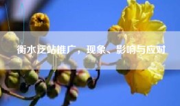 衡水泛站推广，现象、影响与应对