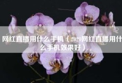 网红直播用什么手机（2020网红直播用什么手机效果好）
