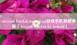 Aiseesoft FoneLab for Android安卓手机数据恢复「Aiseesoft FoneLab for Android」