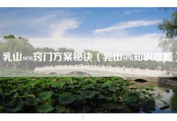 乳山seo窍门方案秘诀（乳山seo知识攻略）