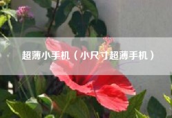 超薄小手机（小尺寸超薄手机）