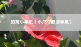 超薄小手机（小尺寸超薄手机）