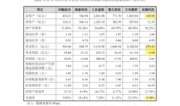 龙旗科技IPO：只有“一条腿”的小米代工厂已是进退两难？代工手机「龙旗科技IPO：只有“一条腿”的小米代工厂已是进退两难？」