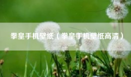 拳皇手机壁纸（拳皇手机壁纸高清）