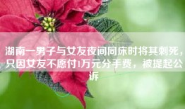 湖南一男子与女友夜间同床时将其刺死，只因女友不愿付1万元分手费，被提起公诉