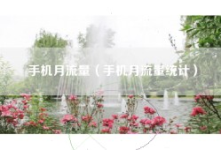 手机月流量（手机月流量统计）