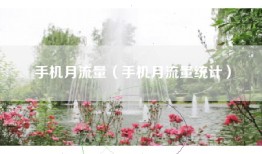 手机月流量（手机月流量统计）
