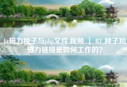 bt磁力种子与php文件,视频 ｜ BT 种子和磁力链接是如何工作的？