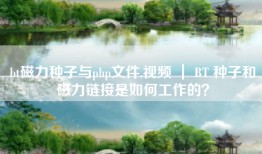 bt磁力种子与php文件,视频 ｜ BT 种子和磁力链接是如何工作的？