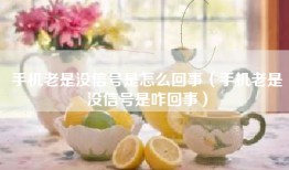 手机老是没信号是怎么回事（手机老是没信号是咋回事）
