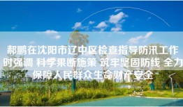 郝鹏在沈阳市辽中区检查指导防汛工作时强调 科学果断施策 筑牢坚固防线 全力保障人民群众生命财产安全
