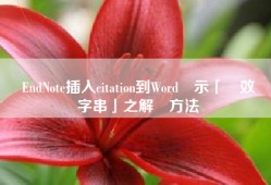 從EndNote插入citation到Word顯示「無效類別字串」之解決方法
