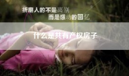 什么是共有产权房子