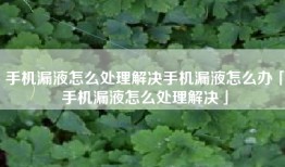 手机漏液怎么处理解决手机漏液怎么办「手机漏液怎么处理解决」