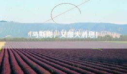 马斯克，又曝大消息！