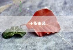 干货来袭