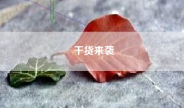 干货来袭