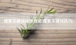 搜索关键词排序方法(搜索关键词技巧)