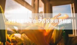 小红书聚光平台广告投放收费标准
