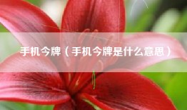 手机今牌（手机今牌是什么意思）